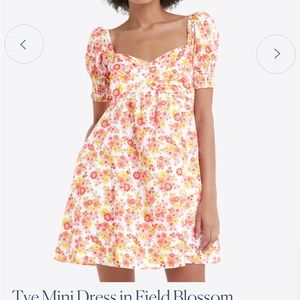 Tye Mini Dress in Field Blossom  Draper James
